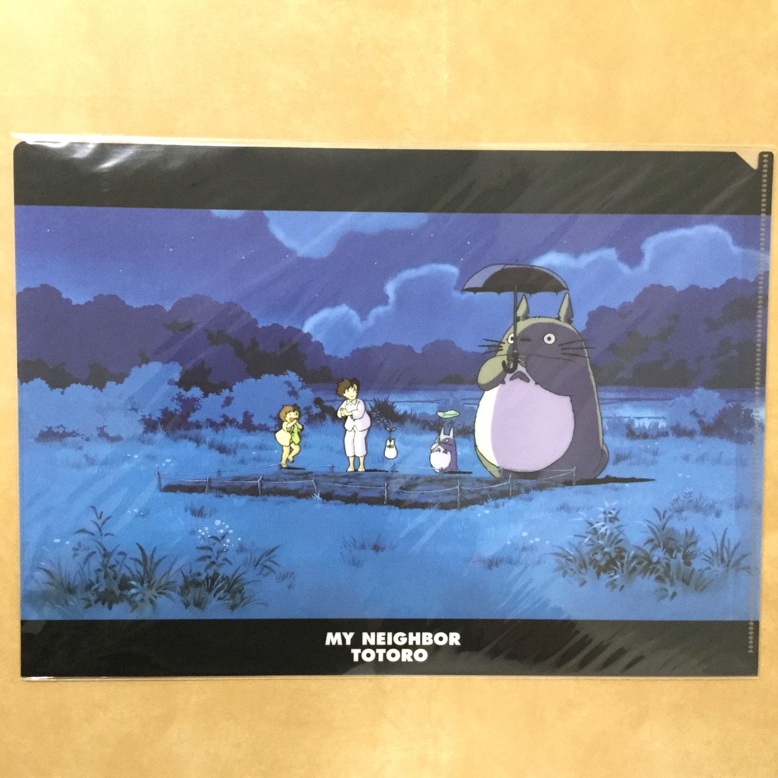 j314【新品・未使用品】となりのトトロ A4クリアファイル 2点