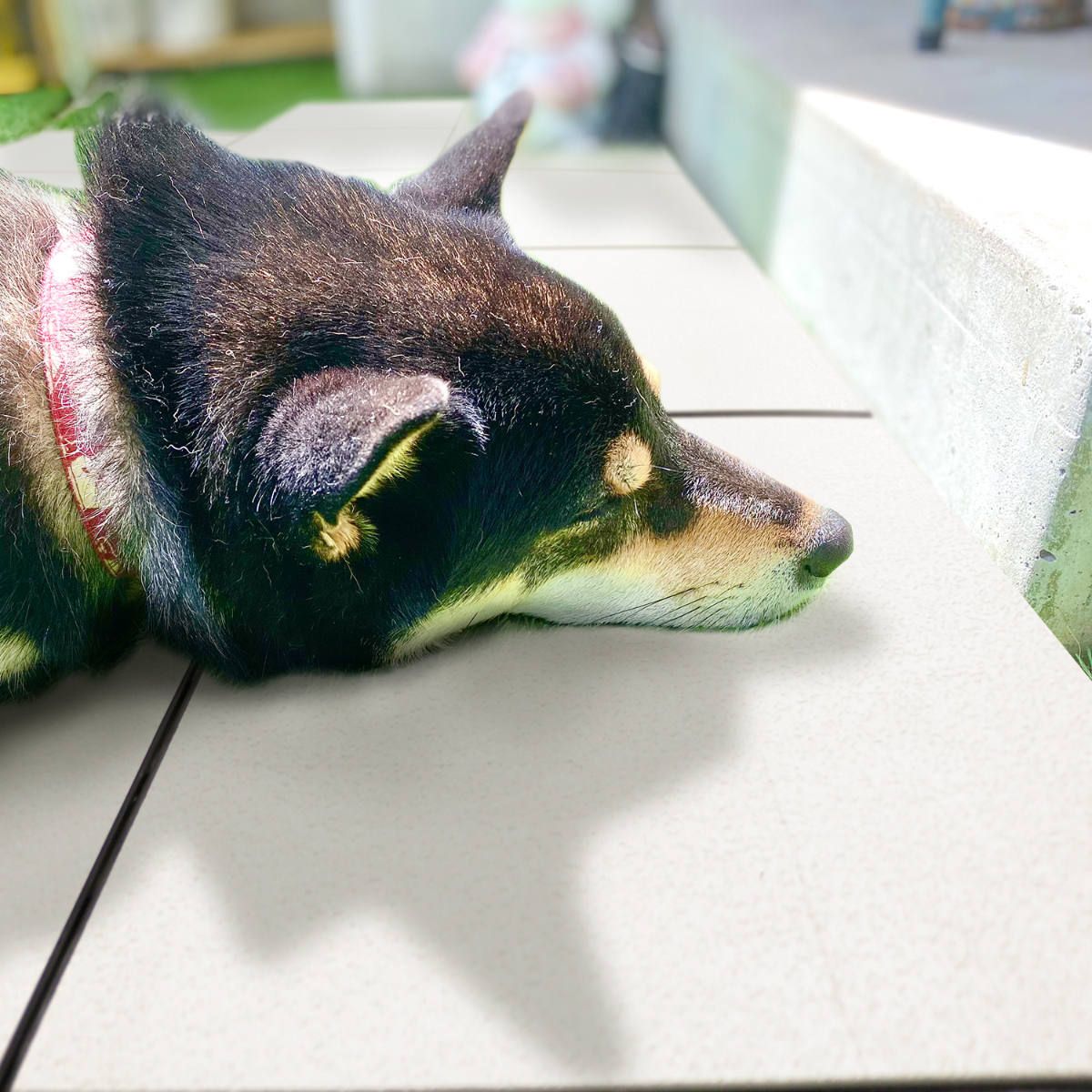 省エネ