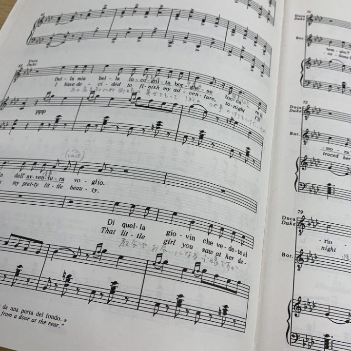○01)【同梱不可】VERDI RIGOLETTO/ジュゼッペ・ヴェルディ