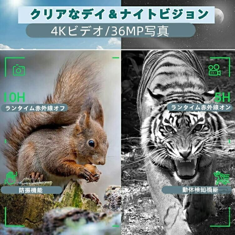 暗視スコープ ナイトビジョン