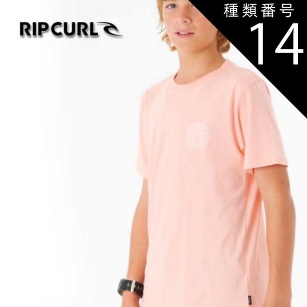 種類14：MINT/10 【RIPCURL/リップカール】KTEST9 WETSUIT ICON TEE-BOY 半袖 Tシャツ ボーイズ キッズ
