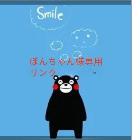 ぽんちゃん様専用ページ ❁確認ページ❁ ぽんちゃん様 ぽんちゃん様専用ページ リボンちゃん様 専用