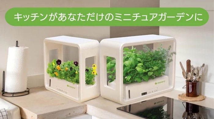 家庭菜園