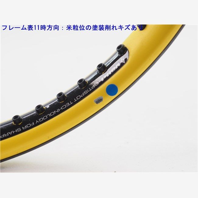 中古 テニスラケット フォルクル オーガニクス 10 295g 2011年