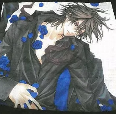 2025年最新】ヴァンパイア騎士 シーツの人気アイテム - メルカリ