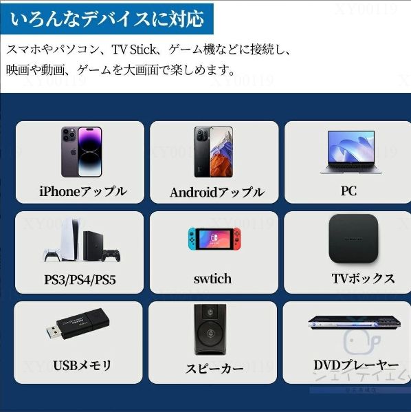本体