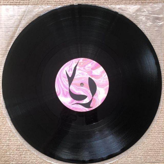 レベル4です　90s 町田町蔵　ほなどないせぇゆぅね　町田康　INU レコード 美盤 町田町蔵 Machizo Machida 1987年 LPレコード ほな、ど