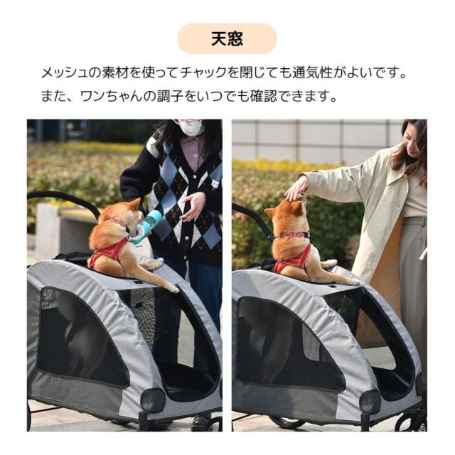 多頭用