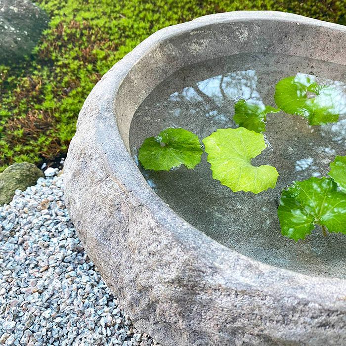 水鉢 石 メダカ鉢 めだか 大型 おしゃれ 庭 つくばい 手水鉢 蹲 睡蓮鉢 金魚鉢 水盤 鉢 坪庭 ガーデニング 和風 L (W) - メルカリ