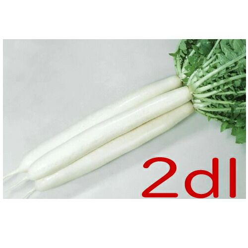 ゾンビになりかけちゃん おさかな☆ドール