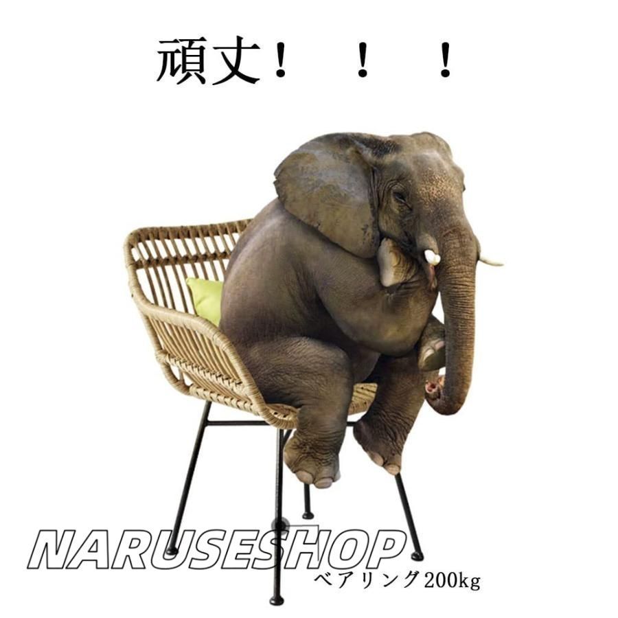PE籐椅子ラタン調