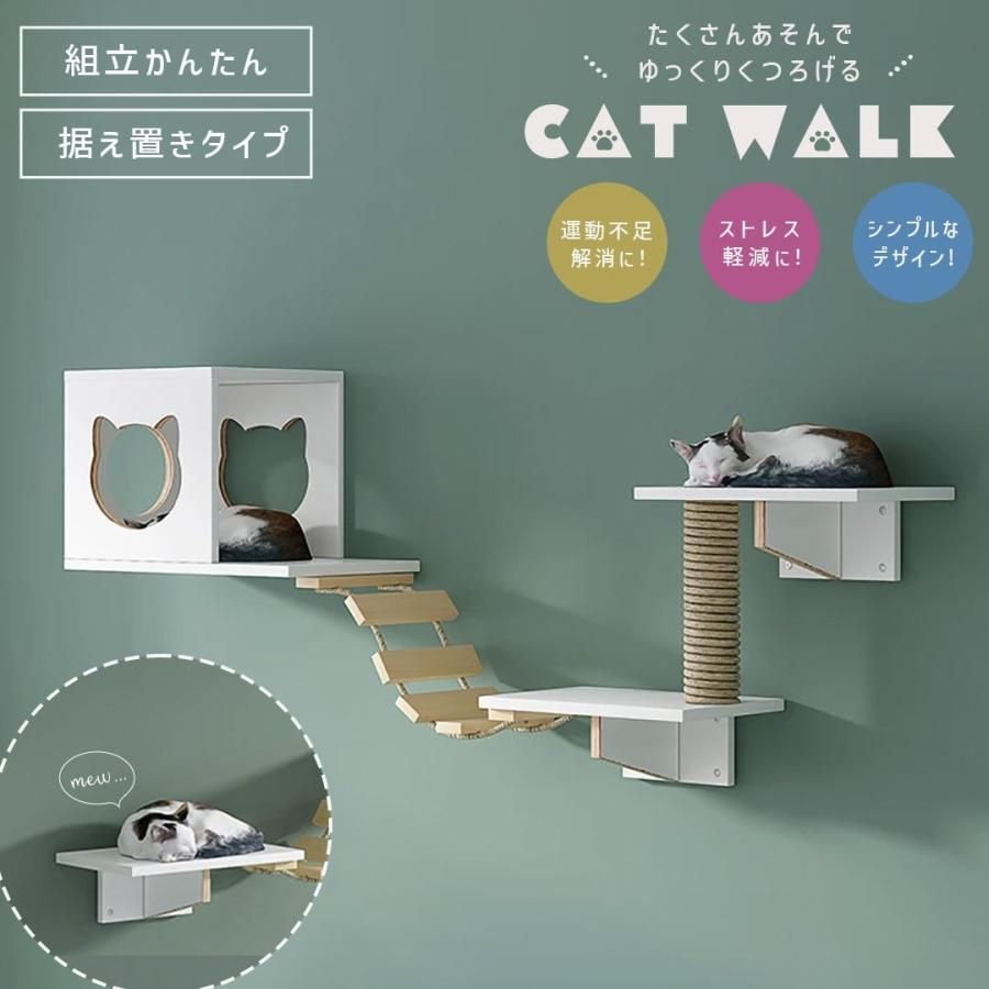 壁 Cat