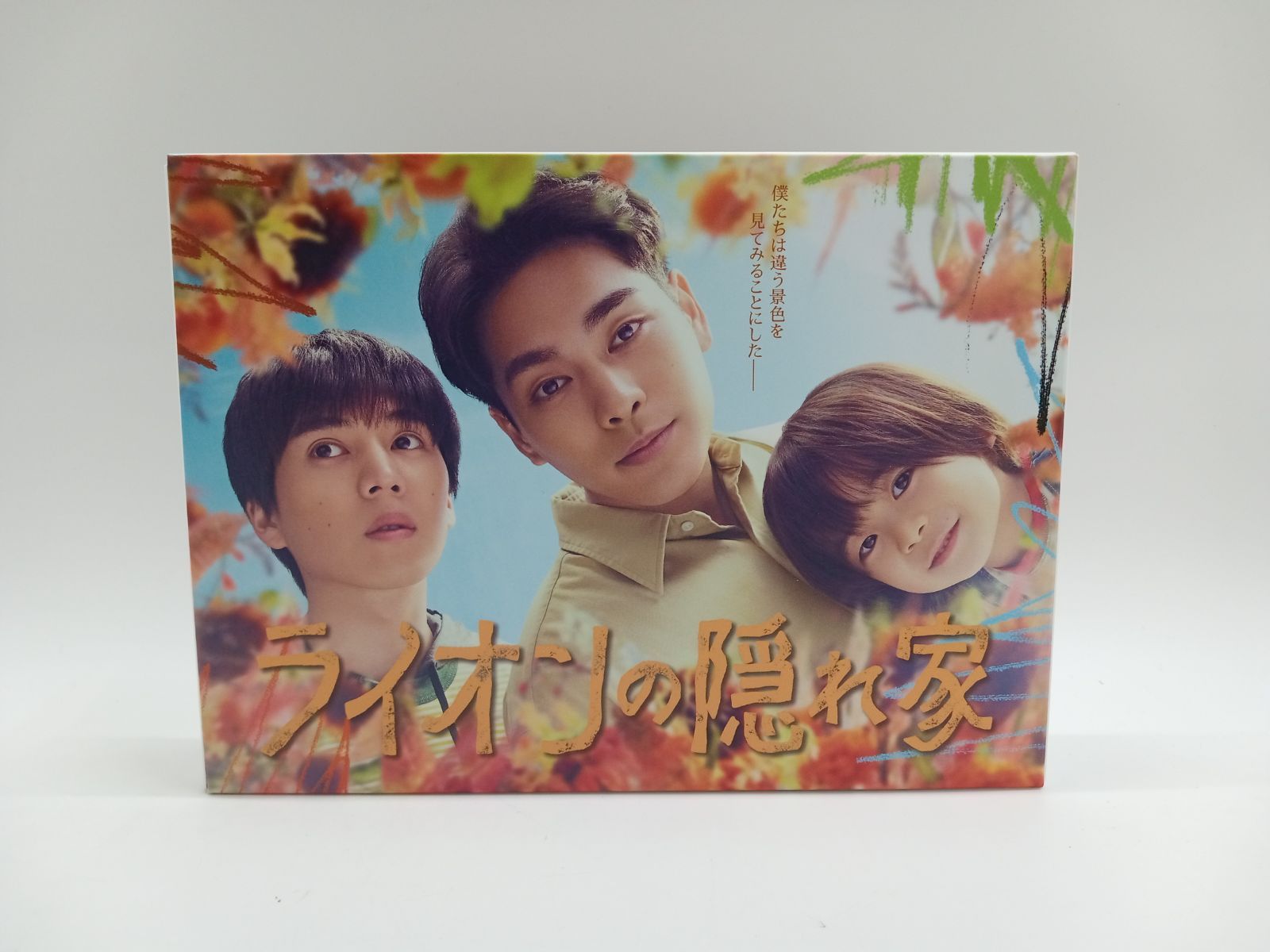 ライオンの隠れ家 DVD BOX DD0664-005