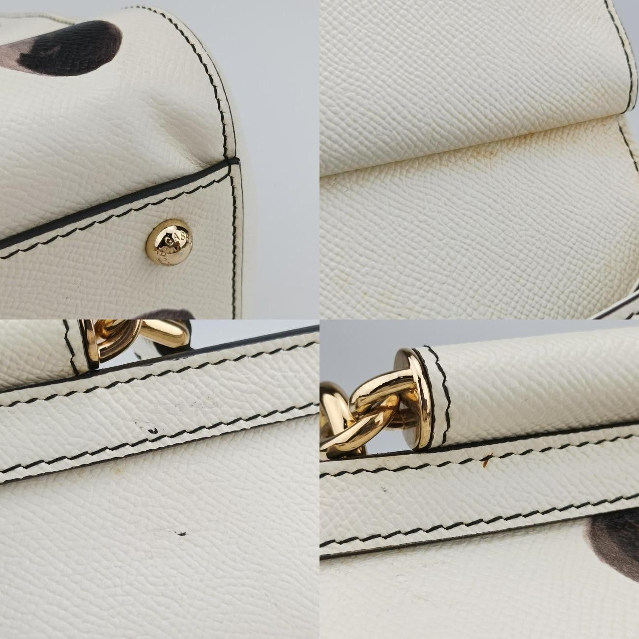 ドルチェアンドガッバーナ素敵なお色のボレロ♡ Dolce&Gabbana ウィメンズ スニーカー：ポルトフィーノ＆ソレント | ドルチェ