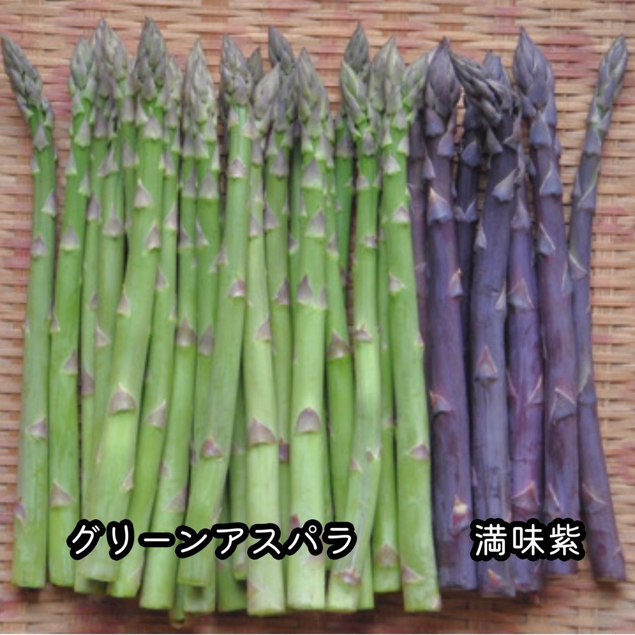 Ｍ株