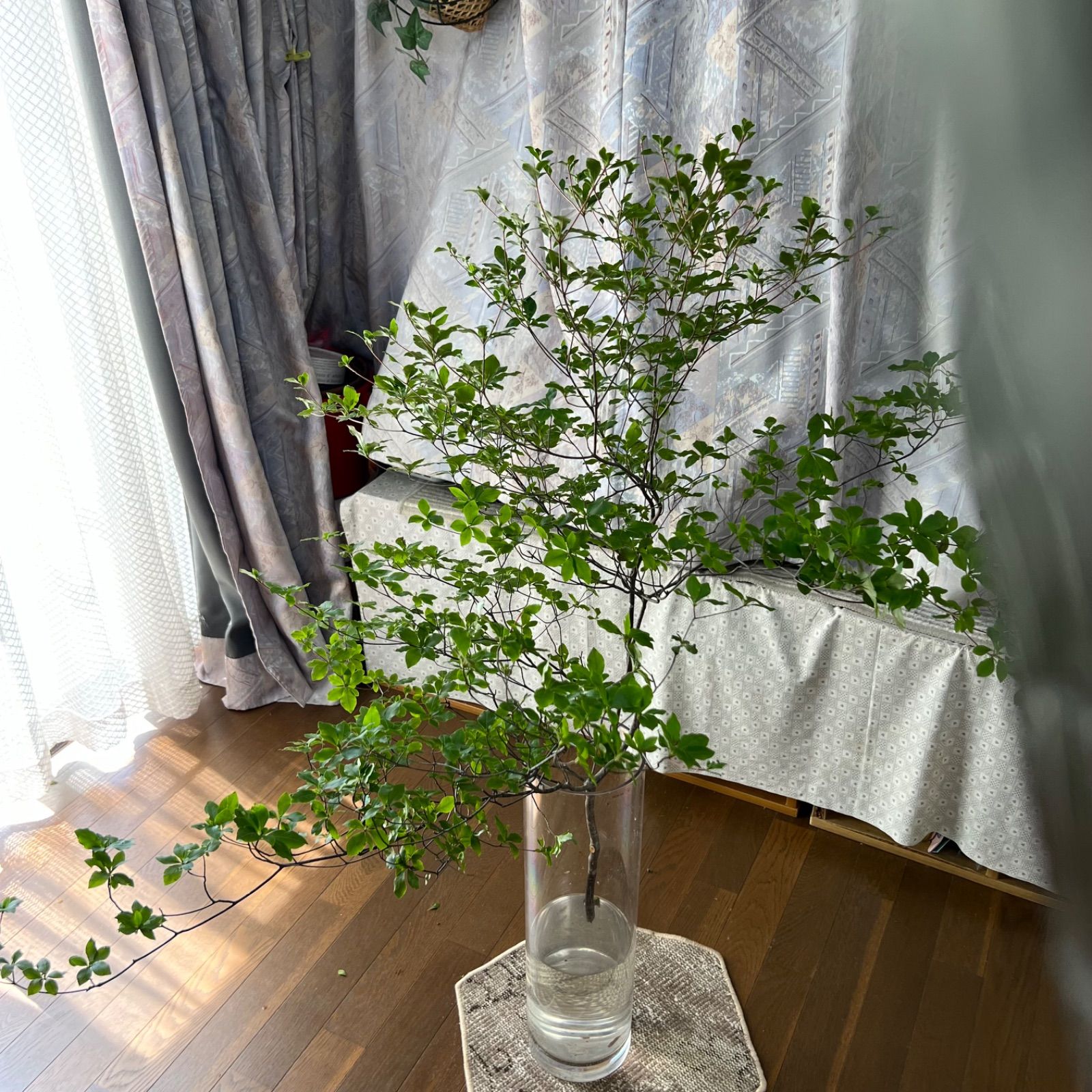 生花❣️ドウダンツツジ🍀120〜130cm×1本規格‼️ - メルカリ