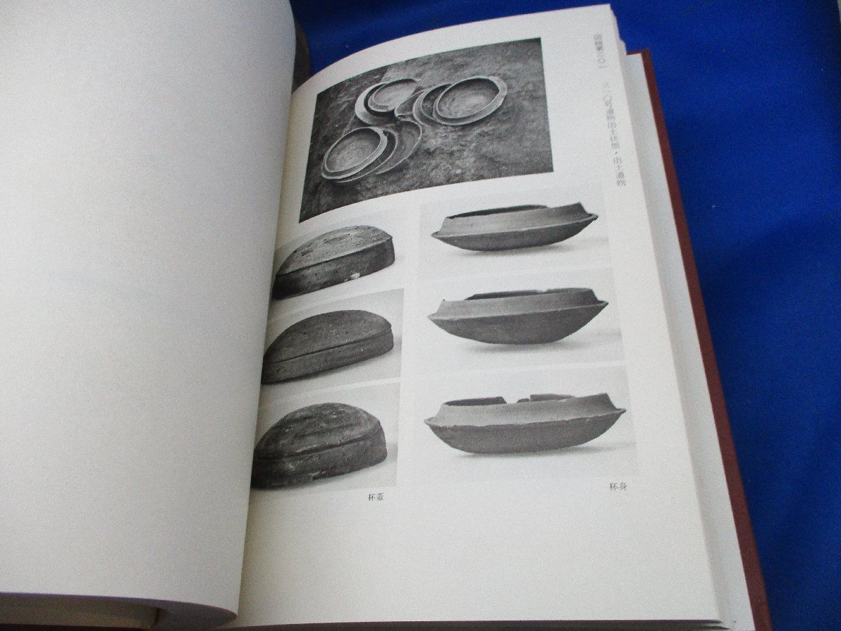 奈良県史跡名勝天然記念物調査報告