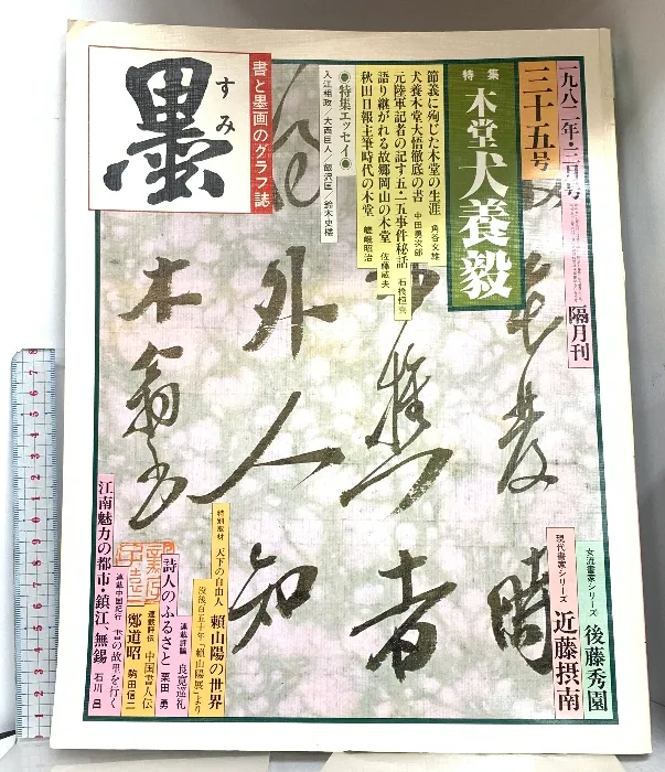 近藤摂南筆　名言慈書　限定商品　レア　書道　色紙 近藤摂南筆 名言慈書 限定商品 レア 書道 色紙 - メルカリ