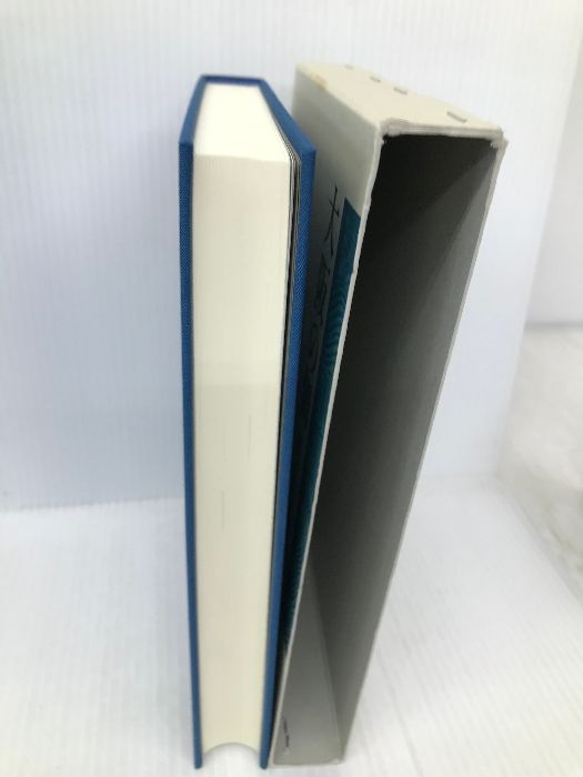 大阪の佃 延宝検地帳 (大阪叢書 1) / 和泉書院 大阪の佃: 延宝検地帳 (大阪叢書 1) 和泉書院 末中 哲夫 - メルカリ
