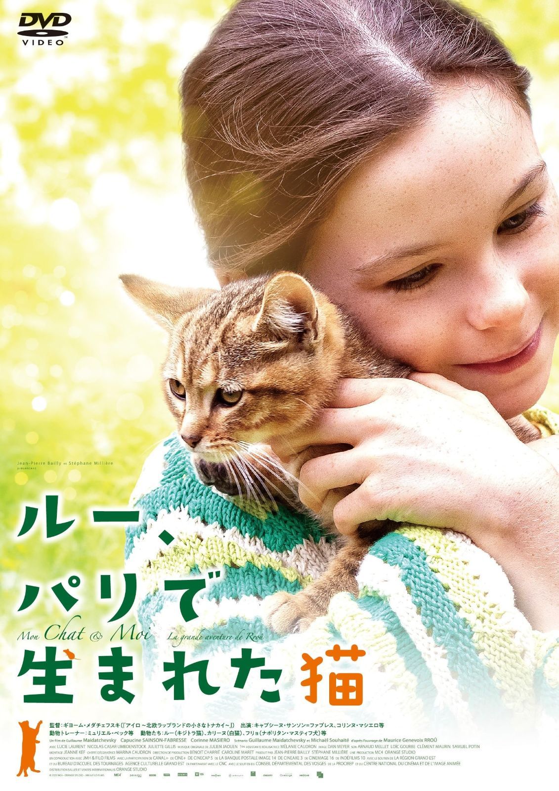 ルー パリで生まれた猫 DVD