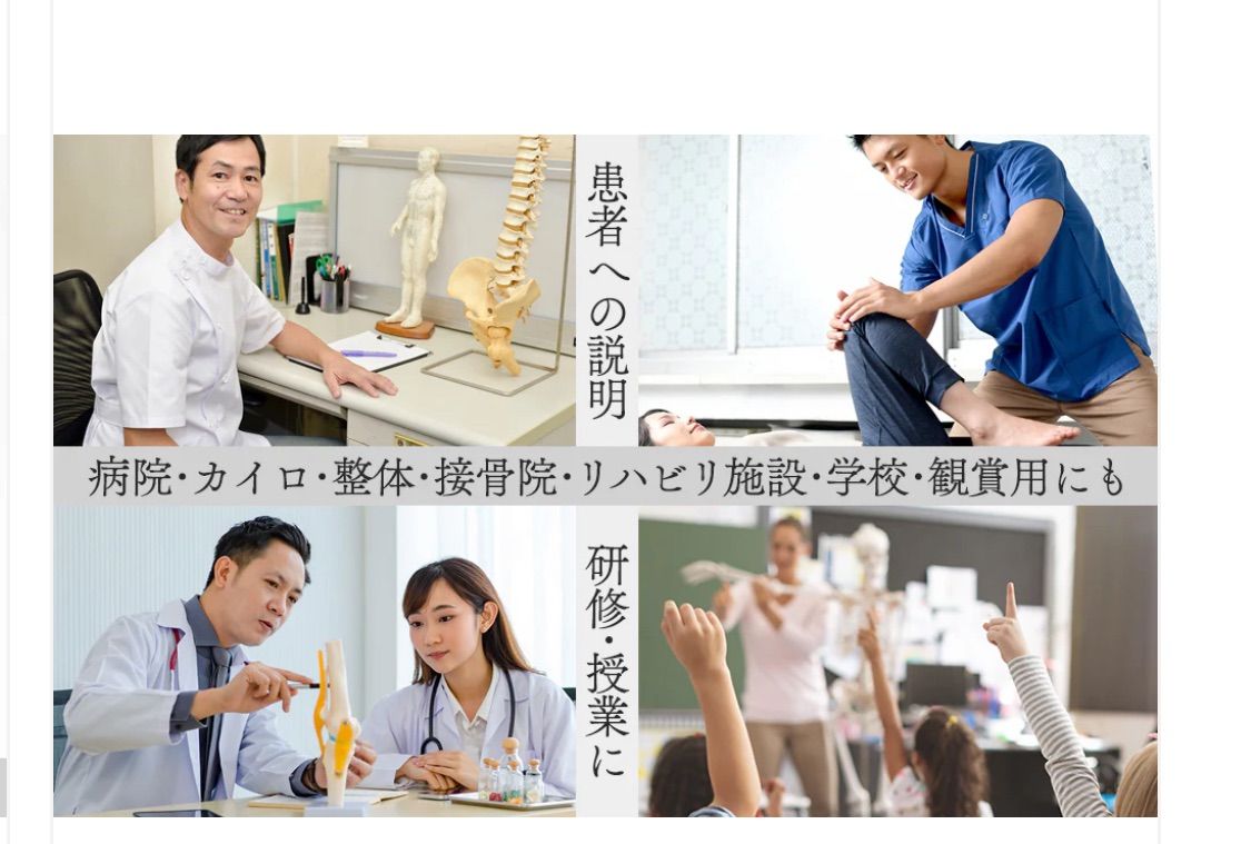 神経根有り全身