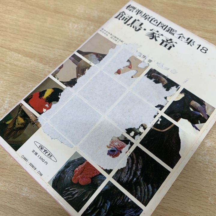 カラー図鑑21巻セット+別巻 角川まんが学習シリーズ 日本の歴史 別巻付き全20冊セット :