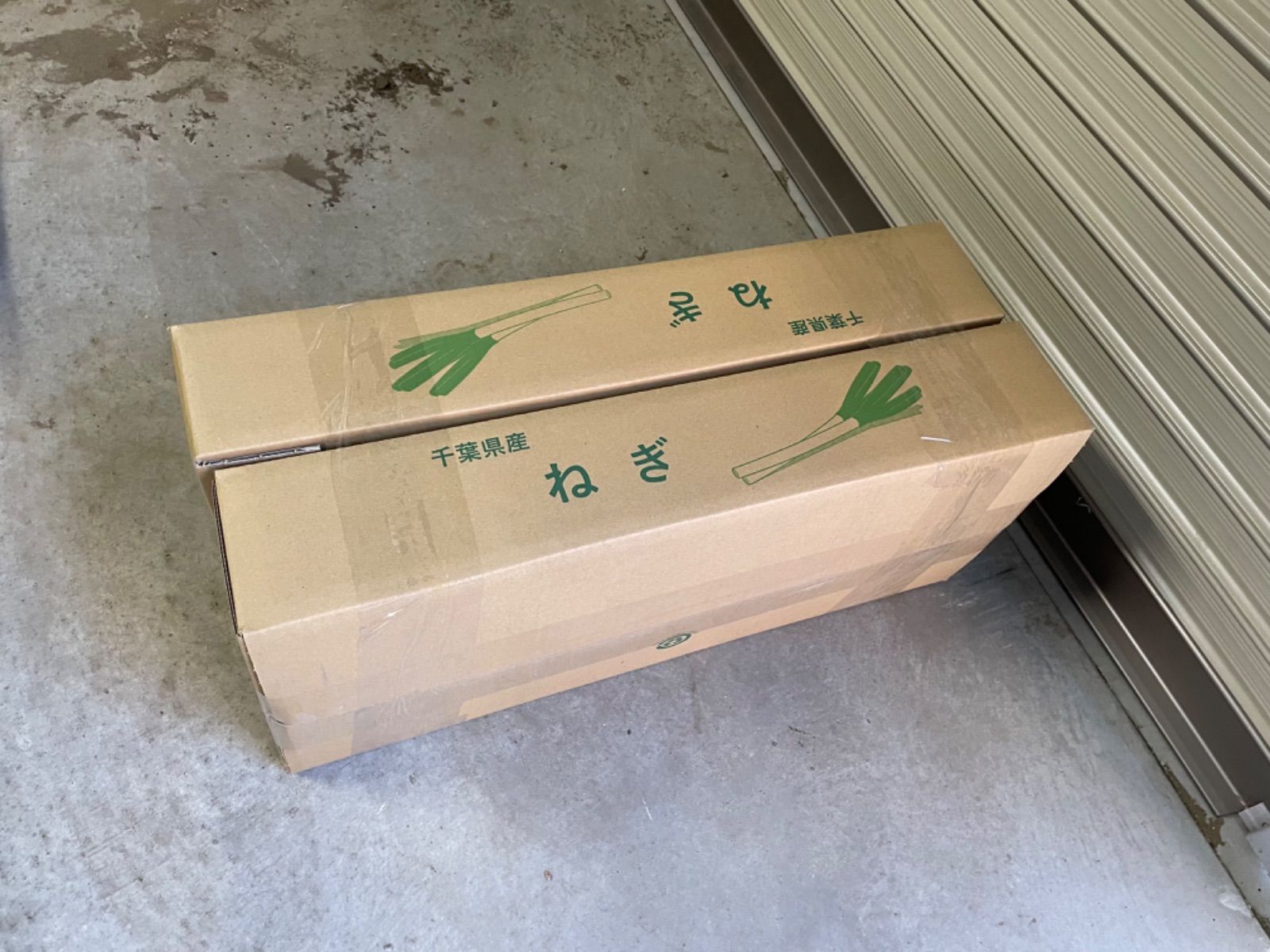 千葉県産 長ネギ 白ネギ ねぎ 10キロ - メルカリ
