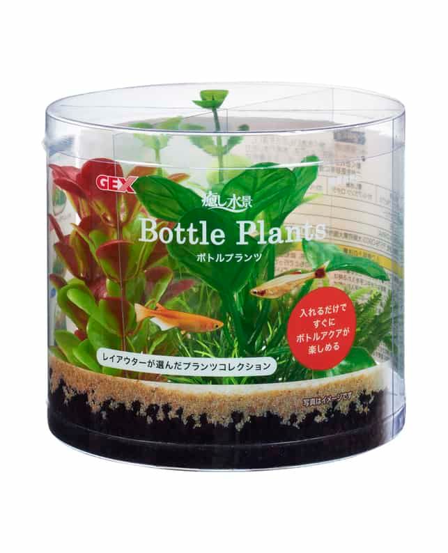 【同梱不可】【12個セット】ジェックス ジェックス癒し水景ボトルプランツアヌビアス