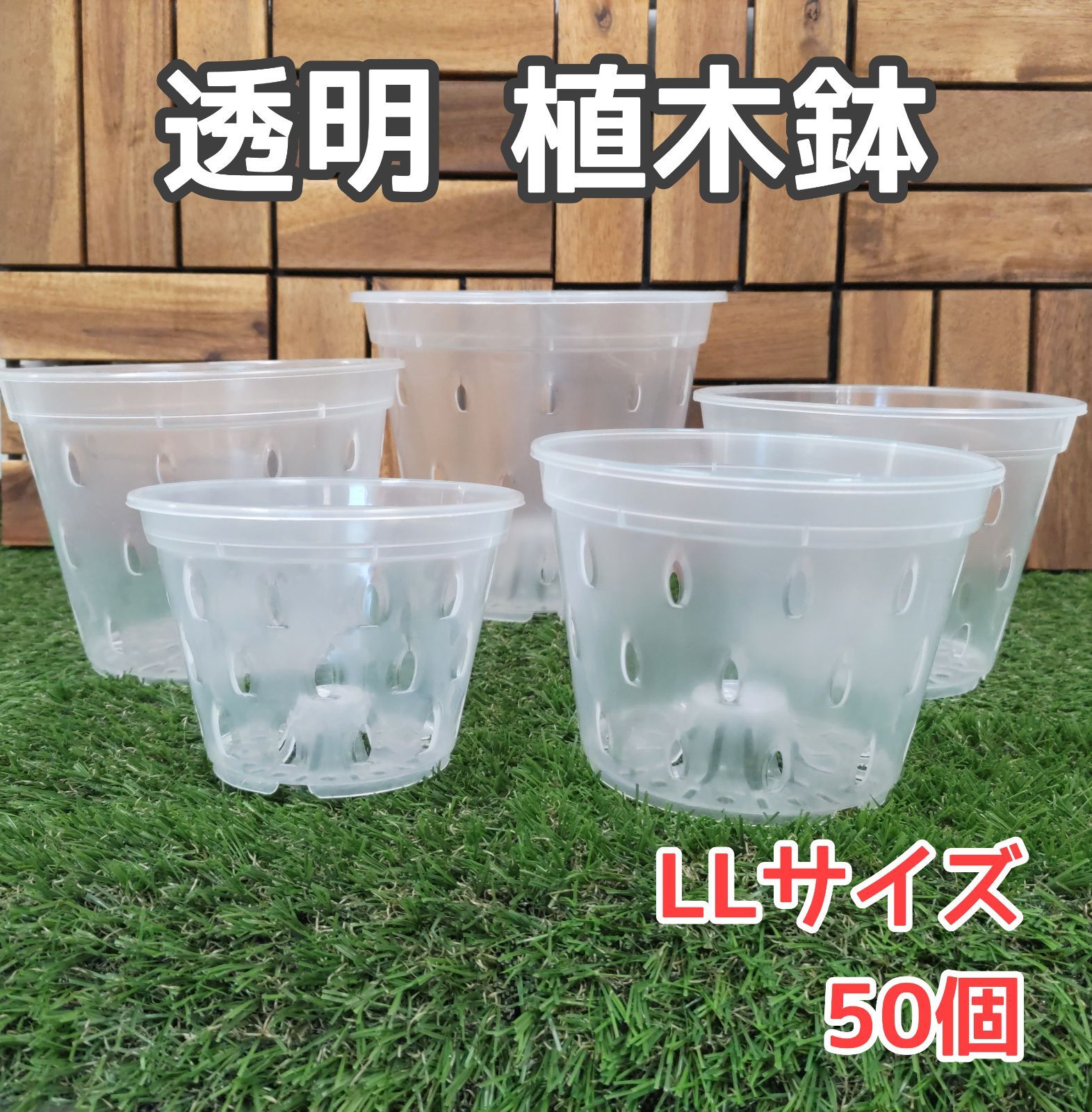 ☆多肉植物 寄せ植え〜Wぱんだちゃんの切り株寄せ セット〜☆ 寄せ