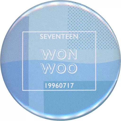 中古】バッジ・ピンズ ウォヌ 缶バッジ(NAME) 「SEVENTEEN CAFE 2020