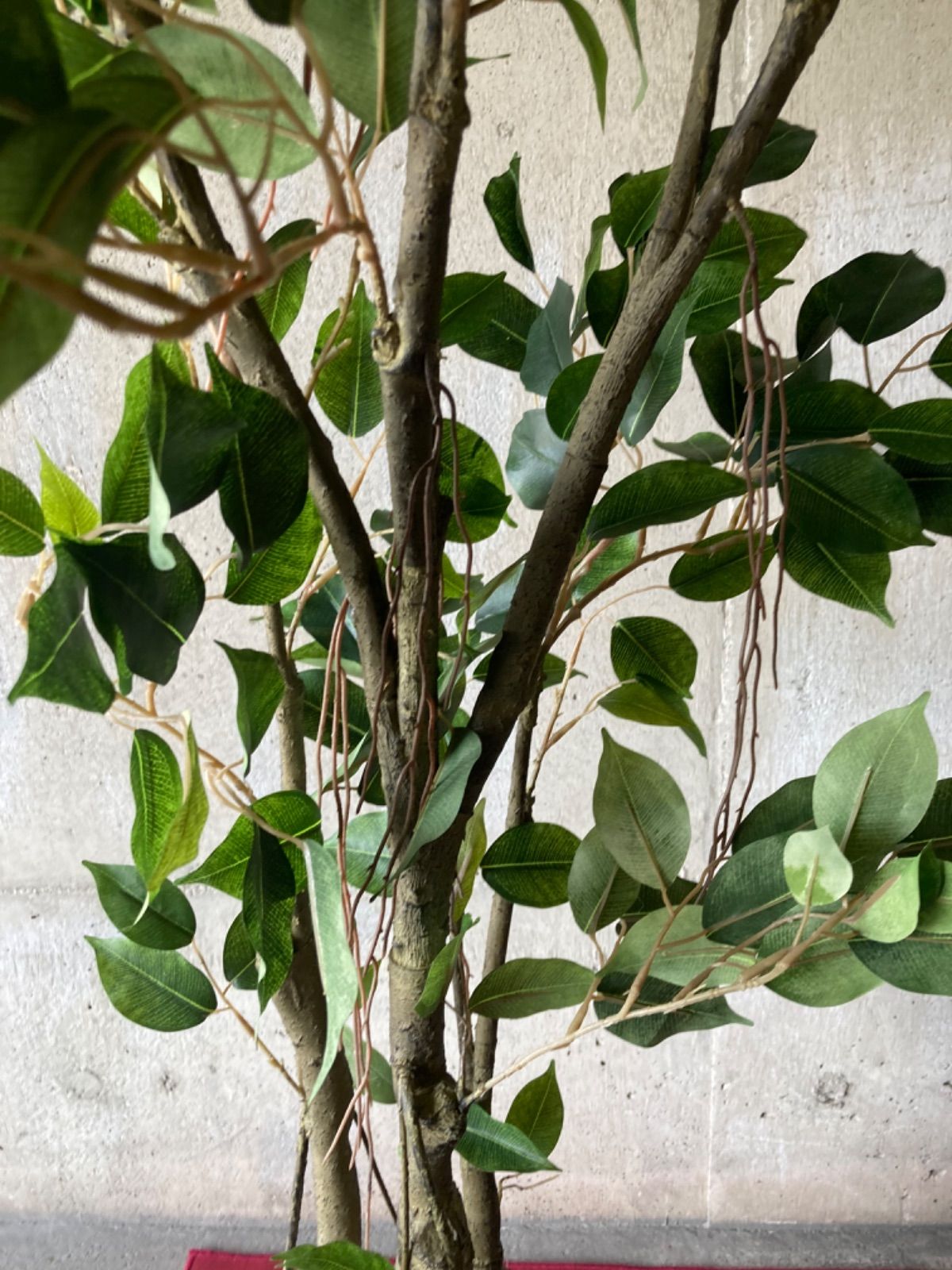 光触媒 人工観葉植物 ウォールグリーン フェイク ベンジャミンフィカス