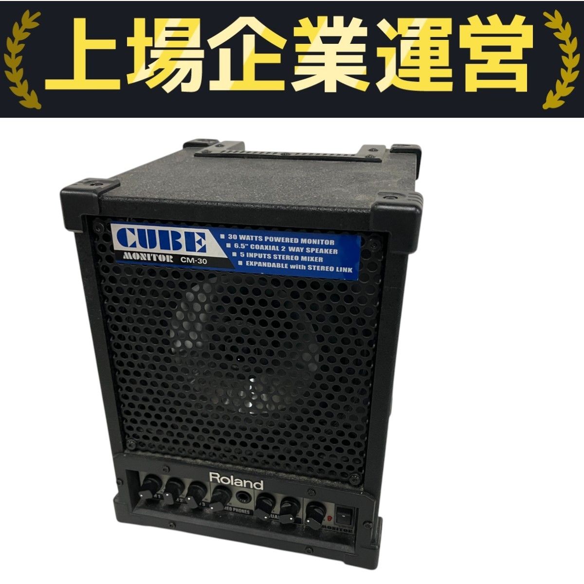 Roland CM-30 CUBE MONITOR ローランド ポータブル ミキシング