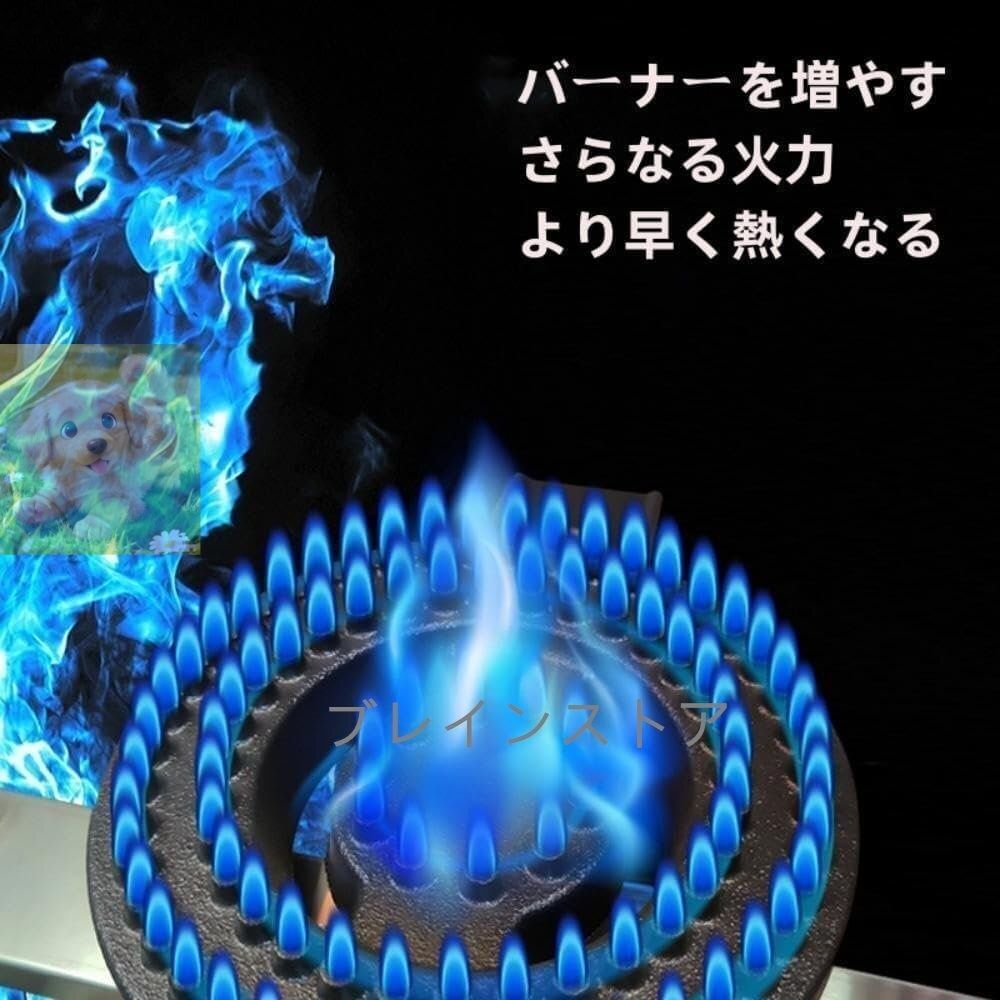 業務用ガスフライヤー大型卓上フライヤー ガスフラフライヤー LPガス用 イヤー 二重シリンダー ダブルネットワークフライヤー フライヤー WWW_KANDAIZUMI_COM