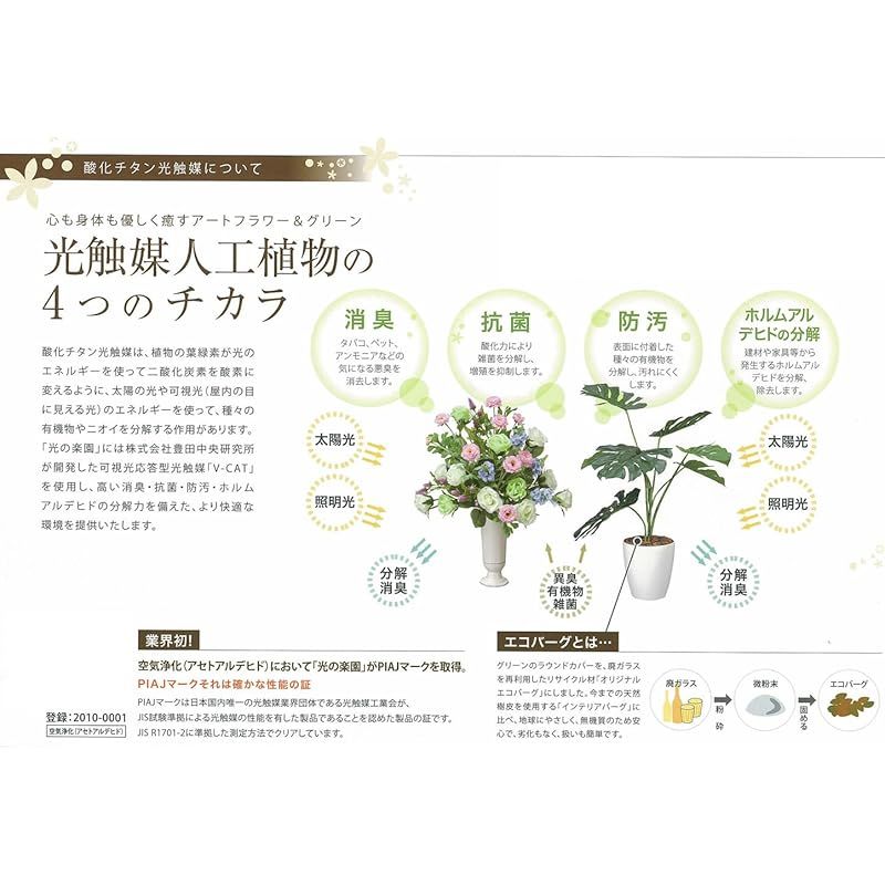 光の楽園