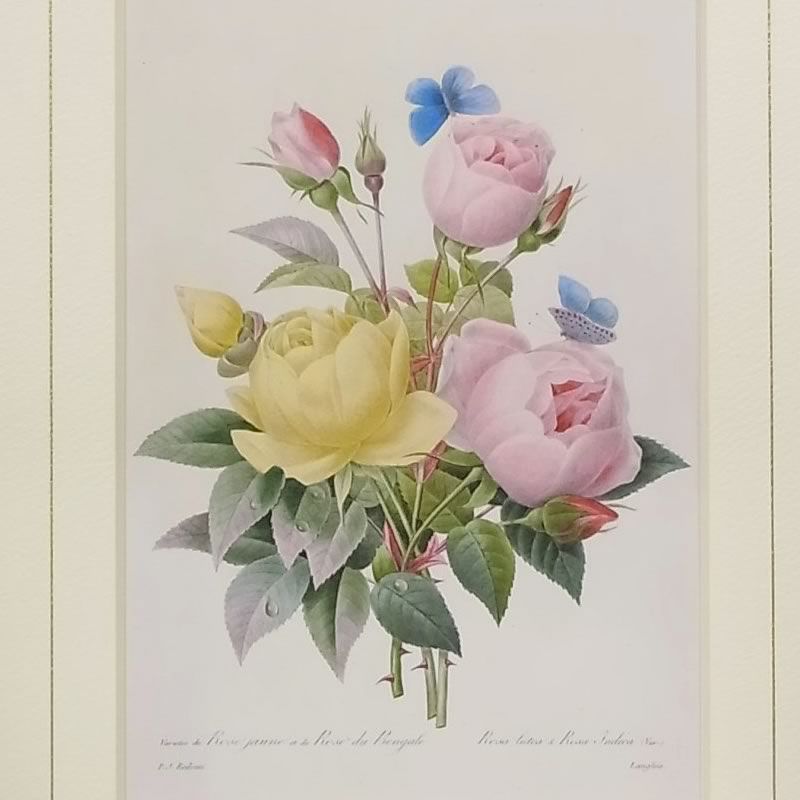 絵画 インテリア ルドゥーテ ローズ 絵額 複製画 美花選 ローズ