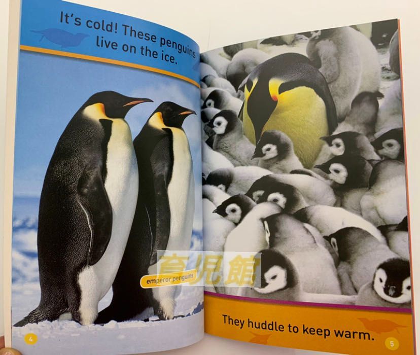 national geographic kids 全巻　音源付き National Geographic Kids Pre 絵本30冊 全冊mp3公式音源おまけ