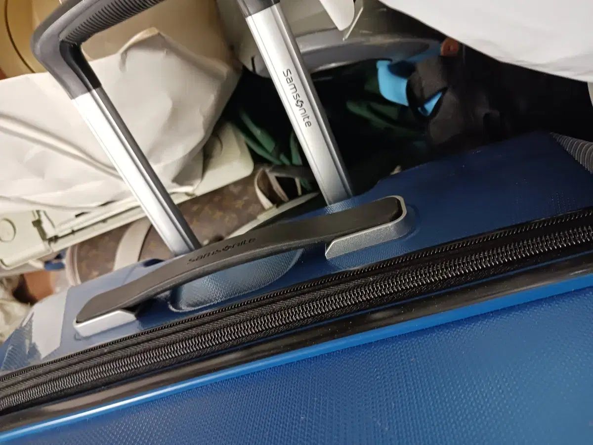 大型 キャリーケース