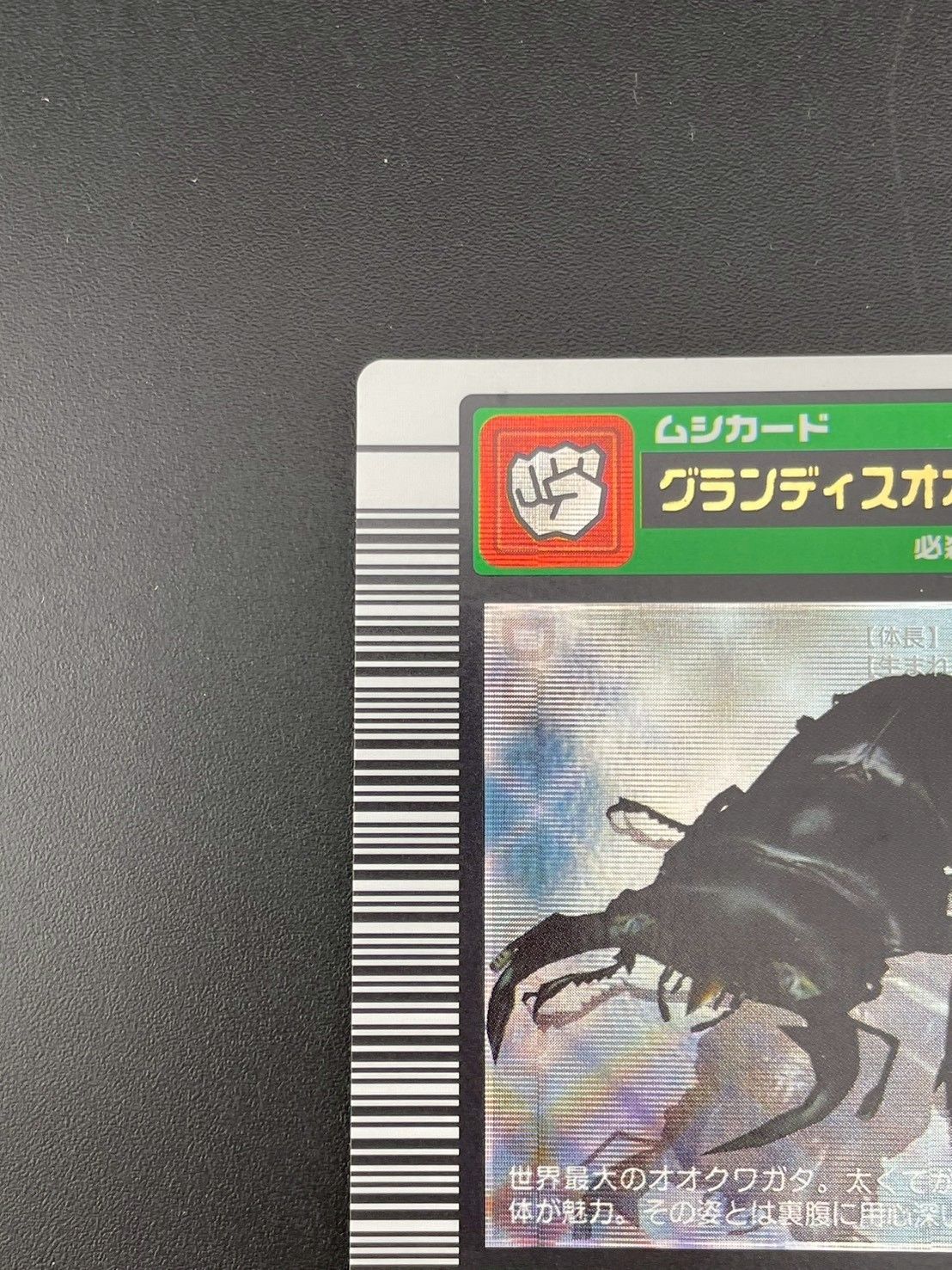 【中古品】グランデディスオオクワガタ　金文字　昆虫王者ムシキング　ムシキングカード　トレカ 中古品】グランデディスオオクワガタ 金文字 昆虫王者ムシキング