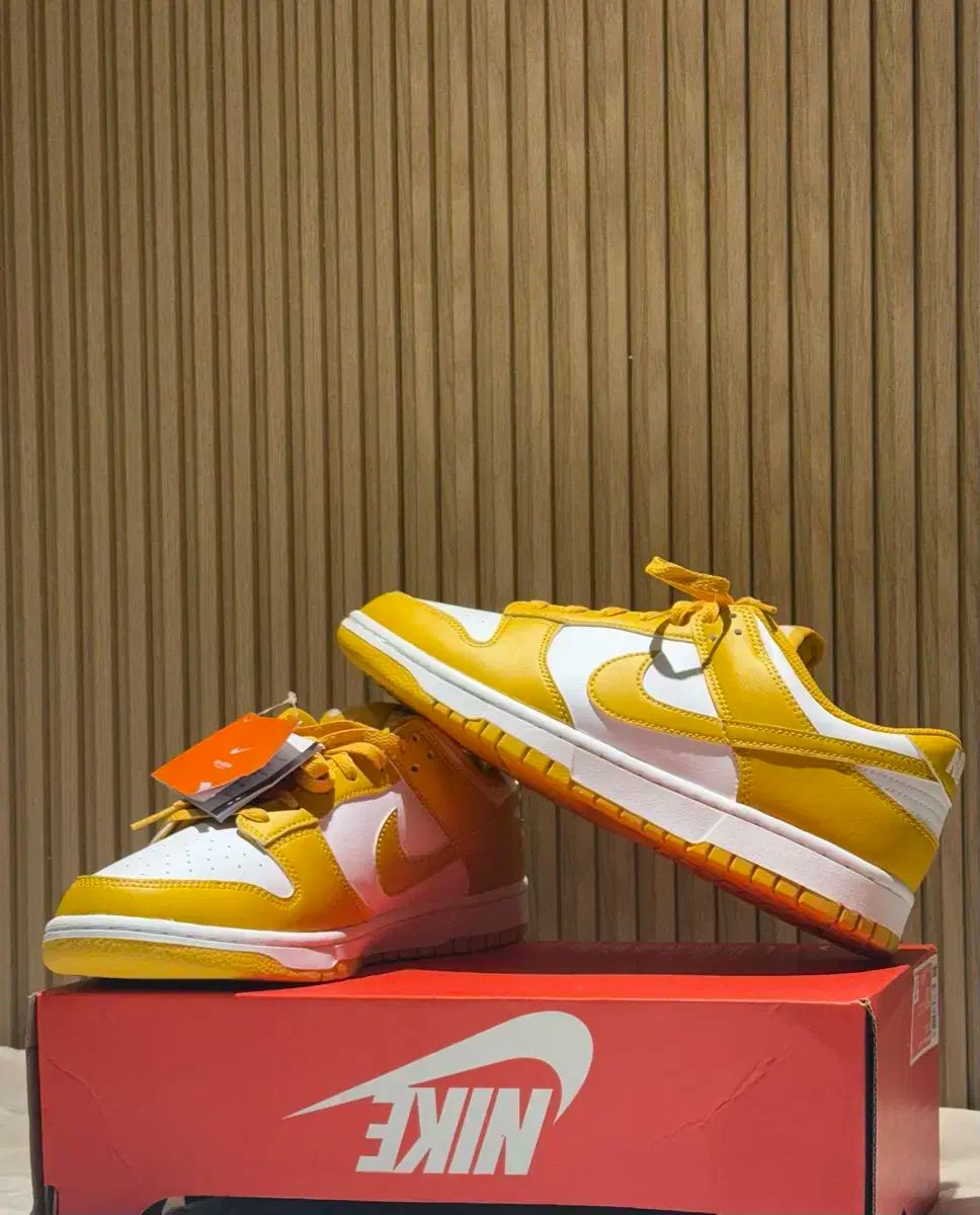 NIKE ナイキ ダンク ロー レトロ 285 未実現