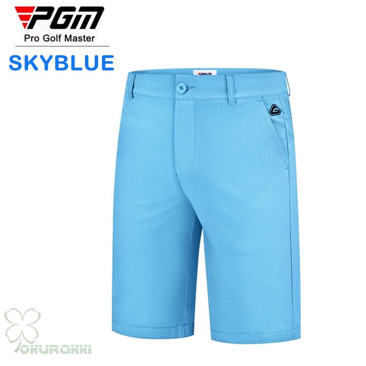 2505gfps03* -BLUE