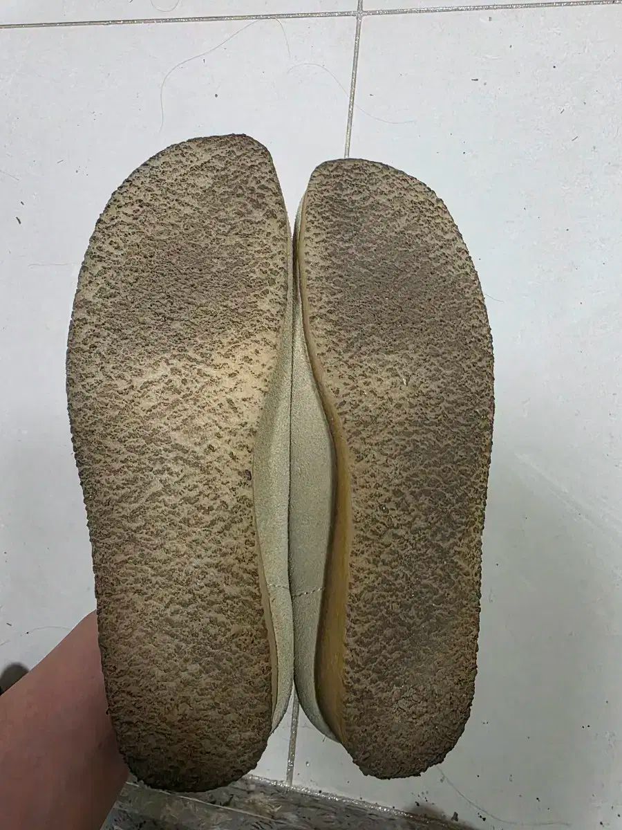 Clarks(クラークス) ワラビー 260 メープル