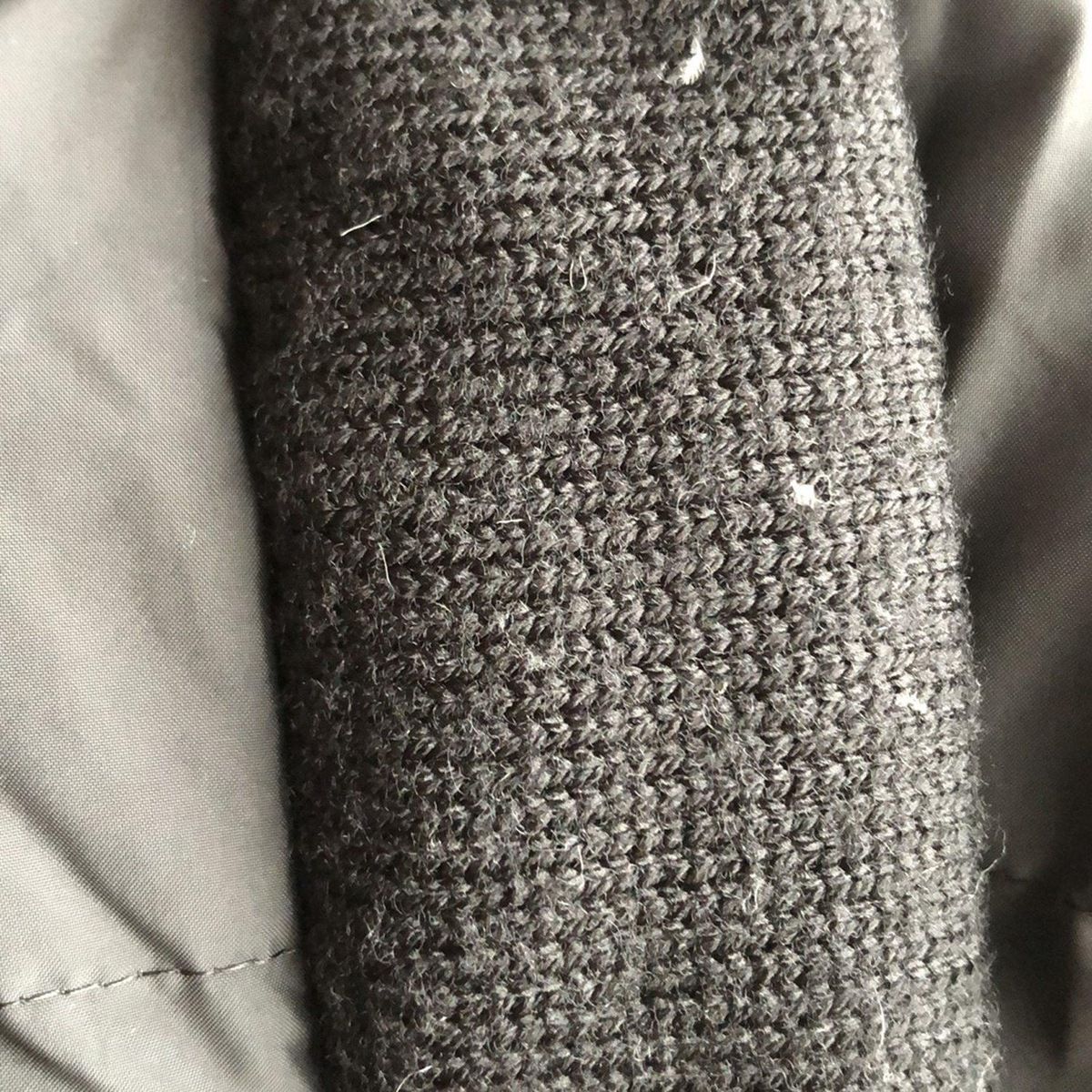 フード付き|秋|冬