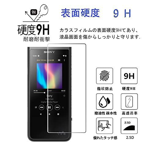 送料無料】2枚 NW-ZX505 / NW-ZX507 【2枚セット】対応 SONY NW-ZX500 ...