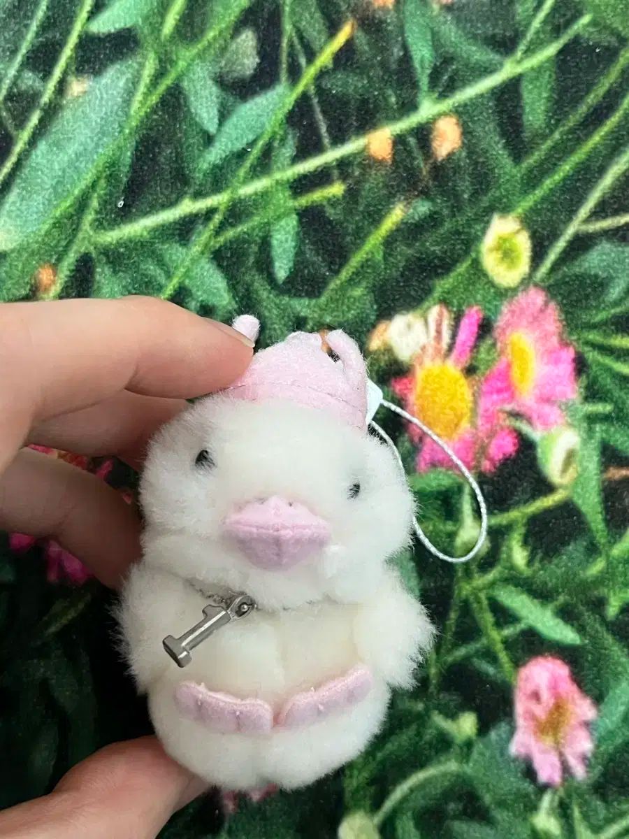 アフラック アヒル キーリング