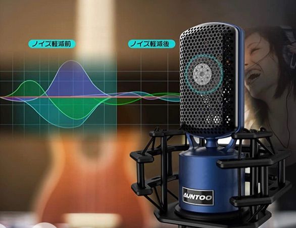 大特価】⭐️プロ仕様で高音質⭐️プロフェッショナル⭐️コンデンサー