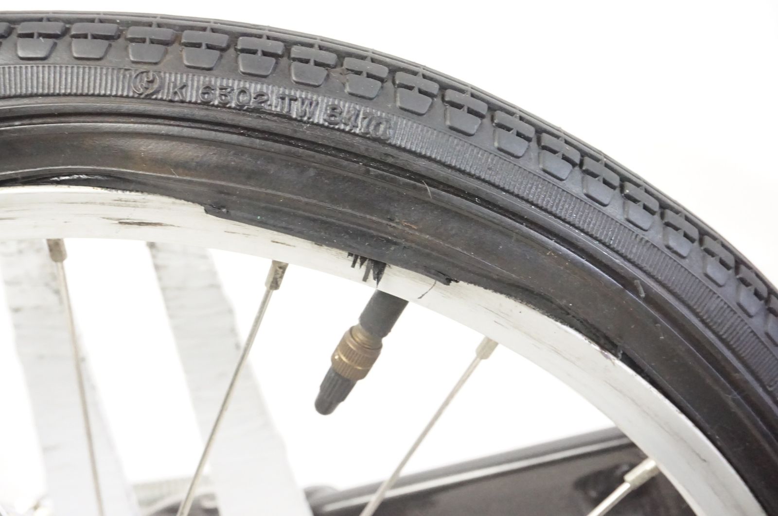 TARTARUGA タルタルーガ