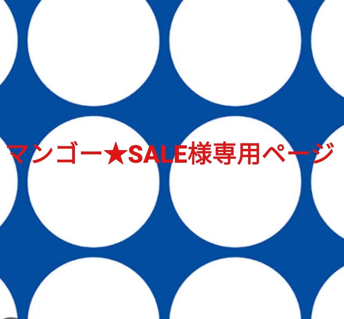 マンゴーSALE様専用ページです。