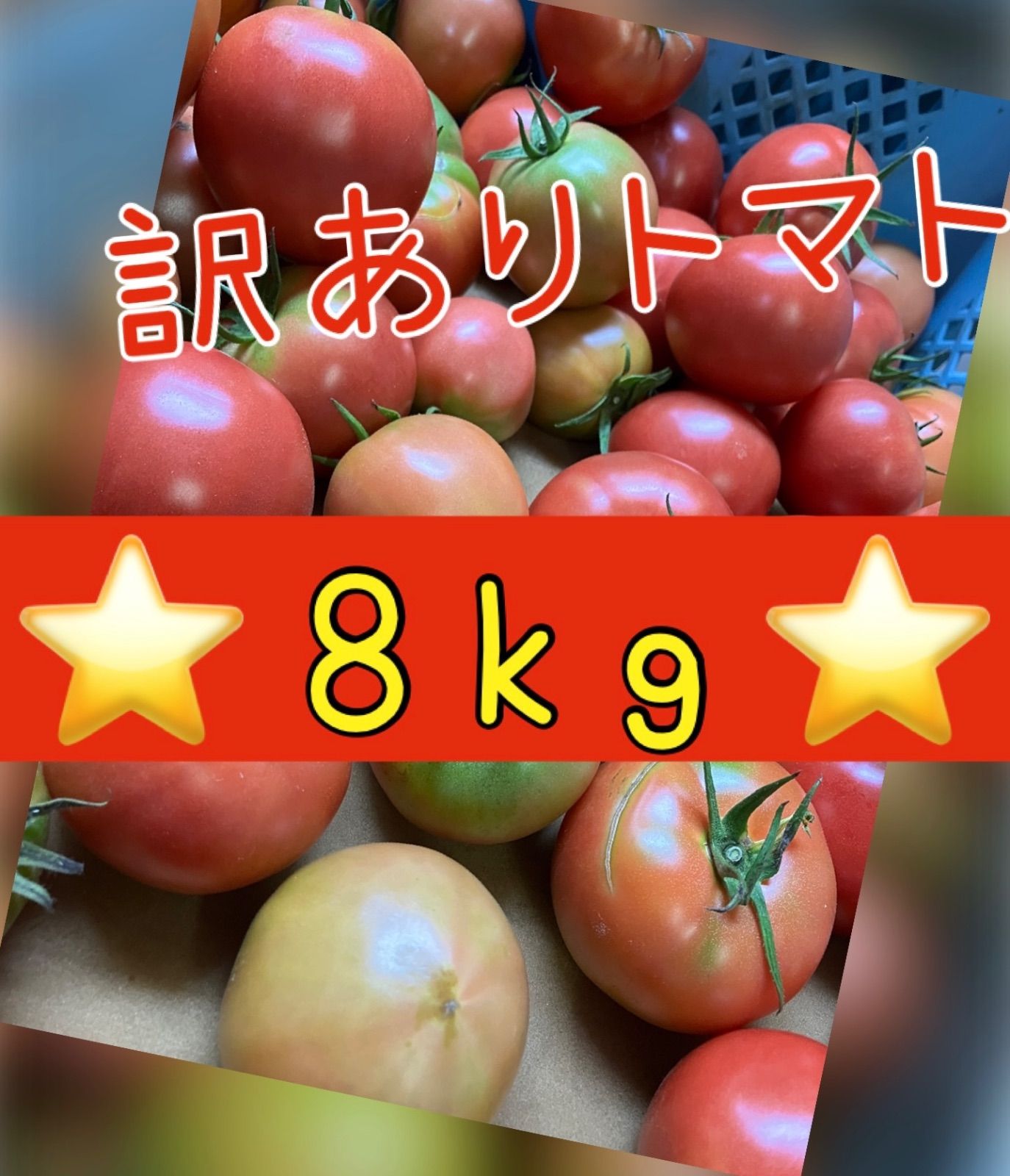 規格外トマト 8kg - 野菜