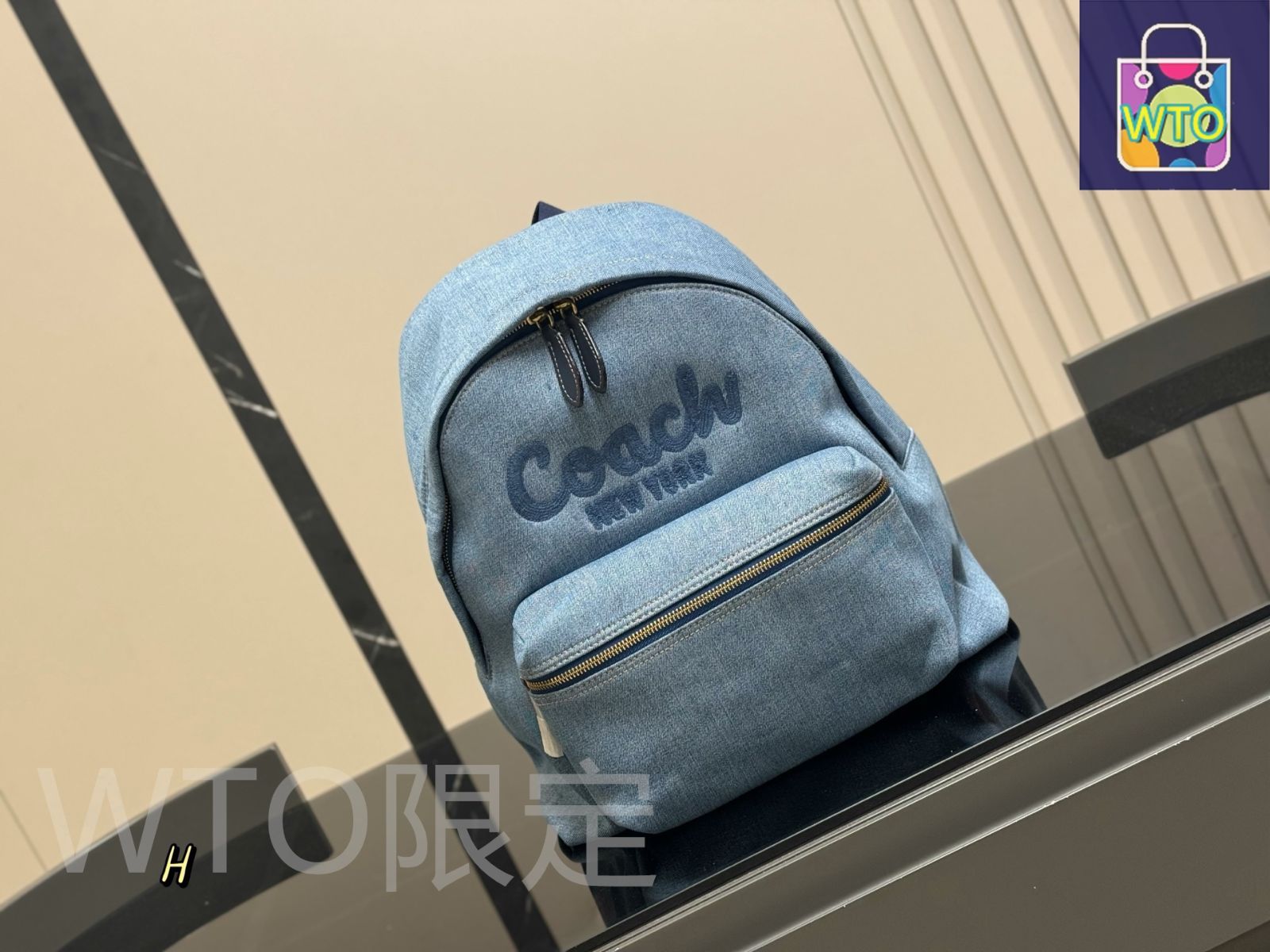 今日WTO】Coach コーチ キャンバス バックパック ベーシックな老