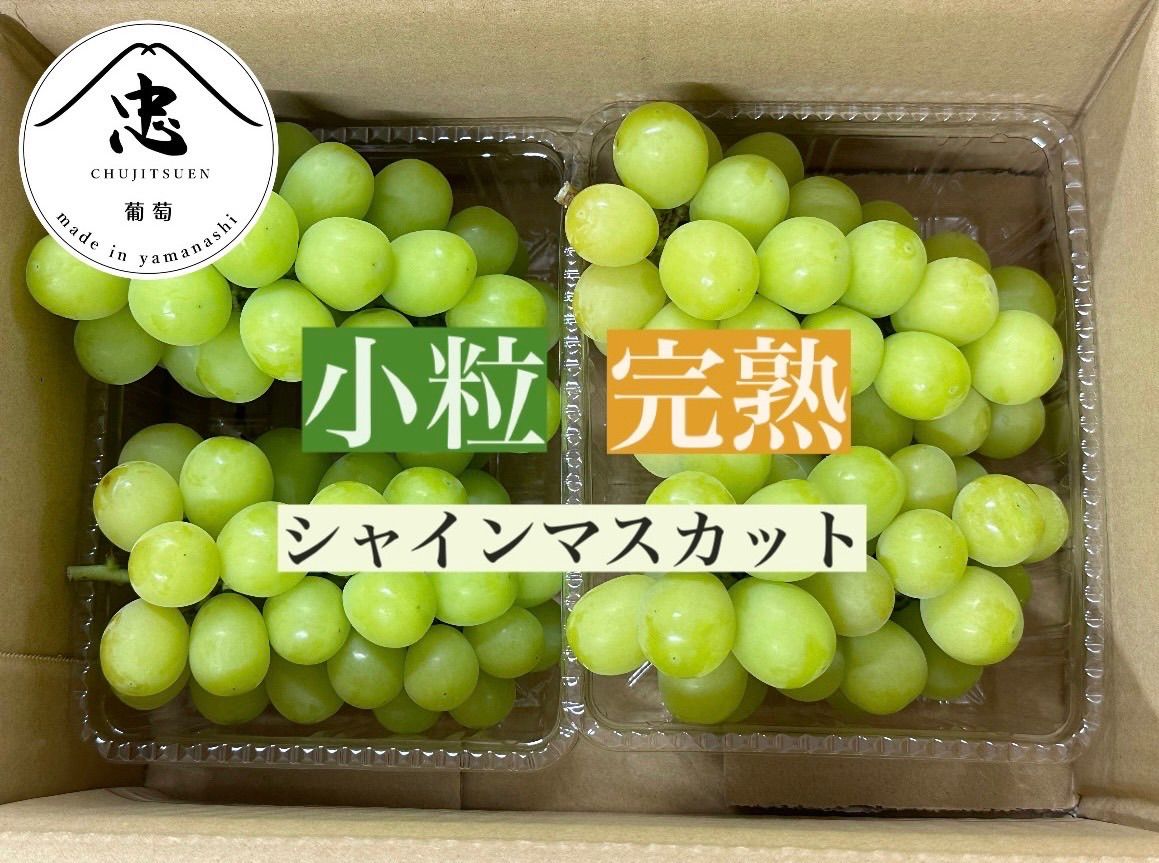 初物】山梨県産 小粒シャインマスカット 4房 - メルカリ 初物】山梨県産 小粒シャインマスカット 4房 - メルカリ